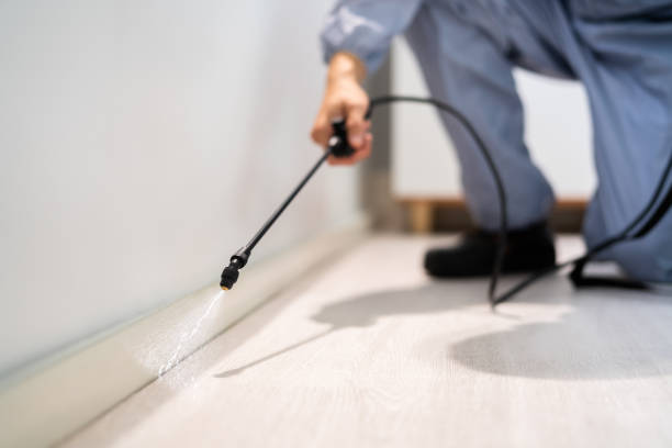 Licensed Pest Control service in Fleming Island, FL - Show Me Pest Control